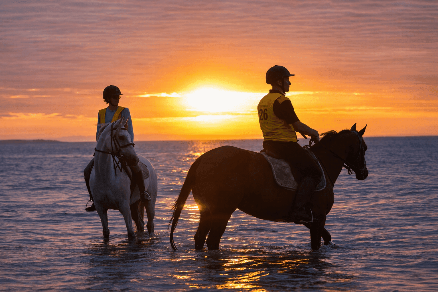 Tubbarubba Arabians - Arabian horses on the Mornington Peninsula
