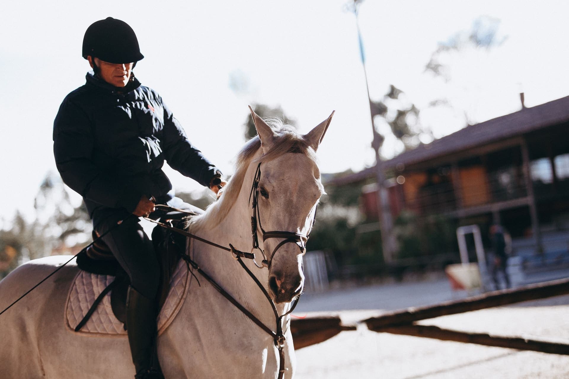 Endurance training at Tubbarubba Arabians